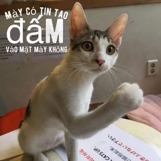 Cạm Bẫy Của Kẻ Biến Thái